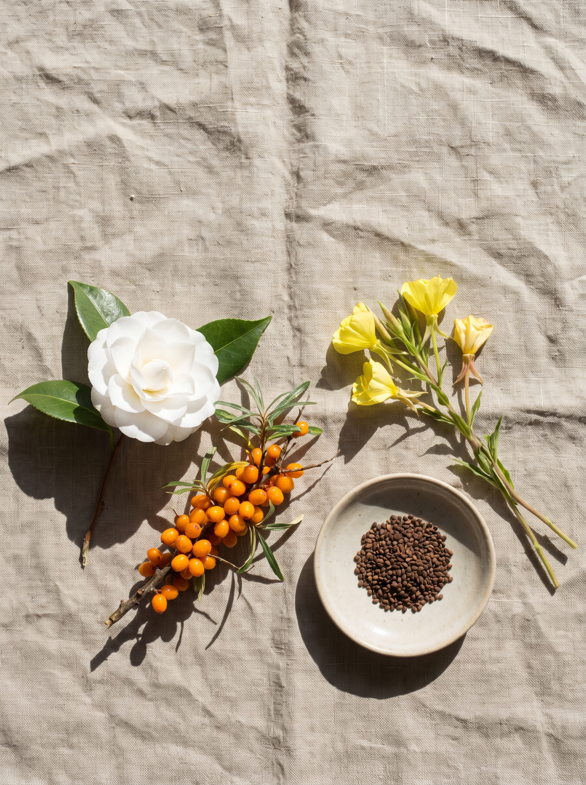 Four Plants, Three Jobs, One Bottle