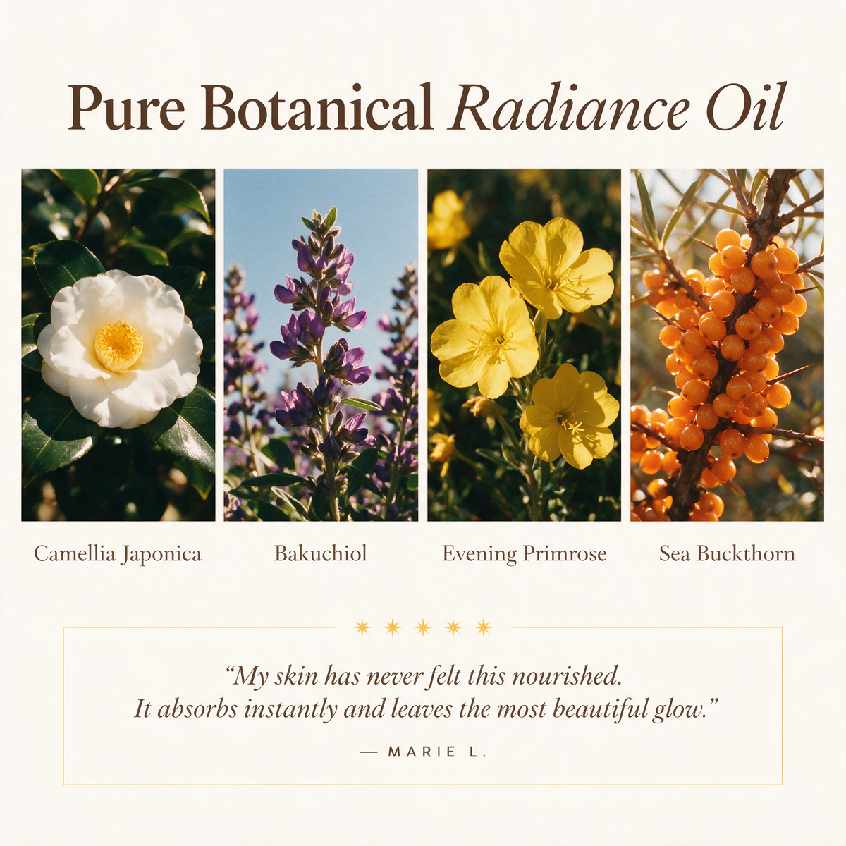 Eraé - Queen Oil 100mL