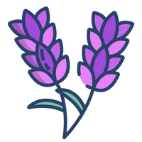 lavender_1.png